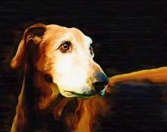 free-dog-art-thumb22.jpg